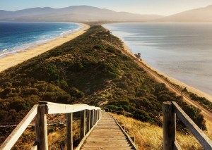 The_Neck_Bruny_Island